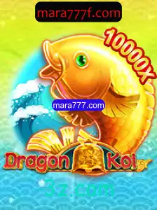 Explorando DragonKoi: A Fusão de Estratégia e Aventura